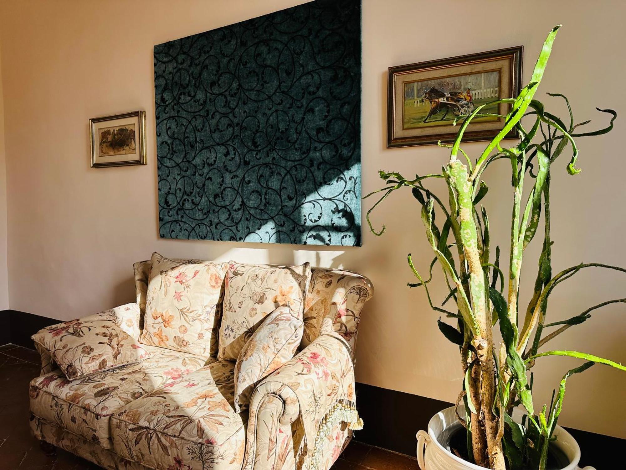 Domus An - Sant'Agata-Historical Home-Very Central Siena Ngoại thất bức ảnh
